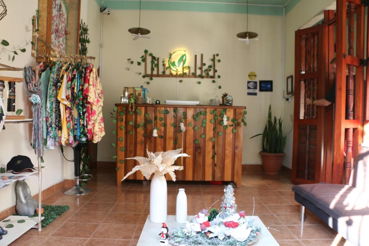 Candileja Hostel Jardín Zewnętrze zdjęcie